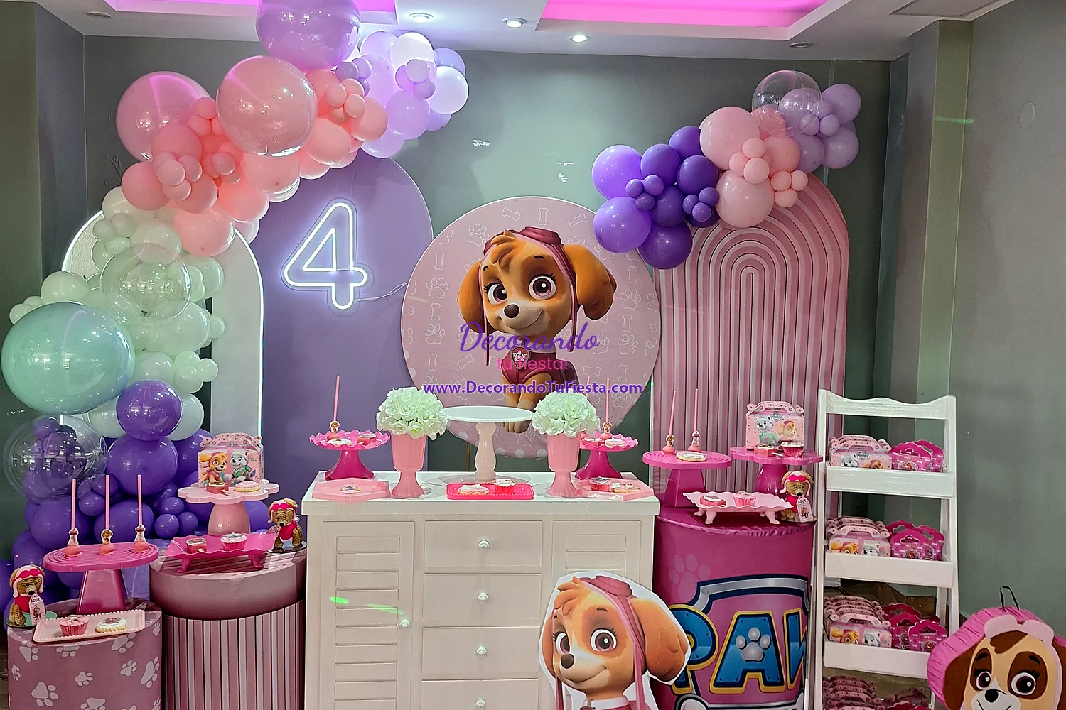 Vista principal de cumpleaños de Paw Patrol para nena
